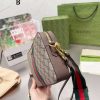 New Fashion Bag G3839 TEN