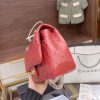 New Fashion Bag C316 TEN