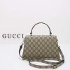 New Fashion GG Handbag 371 QA