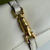 New Fashion GG Handbag 238 QA
