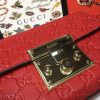New Fashion GG Handbag 216 QA