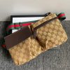 New Fashion GG Handbag 245 QA