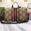 New Fashion GG Handbag 366 QA New Fashion GG Handbag 366 QA
