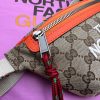 New Fashion GG Handbag 358 QA New Fashion GG Handbag 358 QA