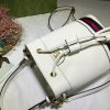 New Fashion GG Handbag 258 QA