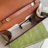 New Fashion GG Handbag 300 QA