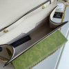 New Fashion GG Handbag 300 QA