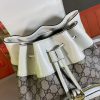 New Fashion GG Handbag 315 QA