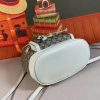 New Fashion GG Handbag 315 QA