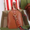 New Fashion GG Handbag 336 QA New Fashion GG Handbag 336 QA