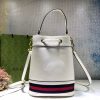 New Fashion GG Handbag 258 QA