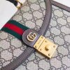New Fashion GG Handbag 227 QA