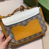 New Fashion GG Handbag 253 QA