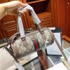 New Fashion Bag G338 TEN
