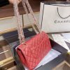 New Fashion Bag C316 TEN