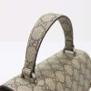 New Fashion GG Handbag 371 QA