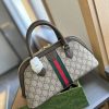 New Fashion Bag G3976 TEN