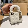 New Fashion Bag D3025 TEN