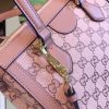 New Fashion GG Handbag G492 QA
