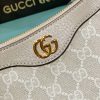 New Fashion GG Handbag 343 QA