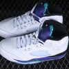 AJ 5 OG Grape 2025 HQ7978-100 PA