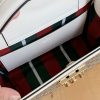 Luxury GG Handbag 838992 BC