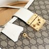 Luxury GG Handbag 838991 BC