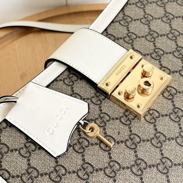 Luxury GG Handbag 838991 BC