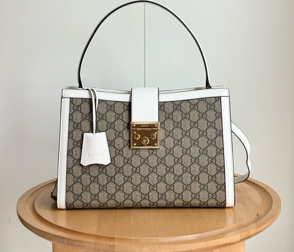 Luxury GG Handbag 838991 BC