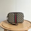 Luxury GG Handbag 703468 BC