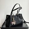 Luxury GG Handbag 815214 BC