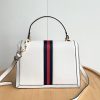 Luxury GG Handbag 651055 BC