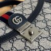 Luxury GG Handbag 651055.1 BC