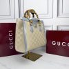 Luxury GG Handbag 655666 BC