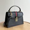 Luxury GG Handbag 651055 BC