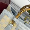 Luxury GG Handbag 655666 BC
