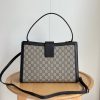 Luxury GG Handbag 838991 BC