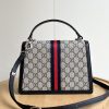 Luxury GG Handbag 651055.1 BC