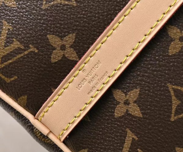 Luxury LV Handbag M46980-M40391 BC