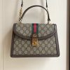 Luxury GG Handbag 651055.1 BC
