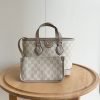 Luxury GG Handbag 811716 BC