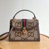 Luxury GG Handbag 651055 BC