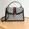 Luxury GG Handbag 651055.1 BC