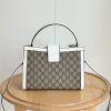 Luxury GG Handbag 838992 BC