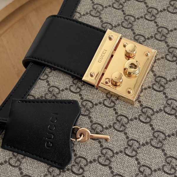 Luxury GG Handbag 838991 BC