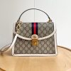Luxury GG Handbag 651055.1 BC