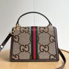 Luxury GG Handbag 651055 BC