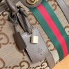 Luxury GG Handbag 648085 BC