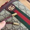 Luxury GG Handbag 838462 BC