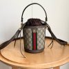 Luxury GG Handbag 838462 BC
